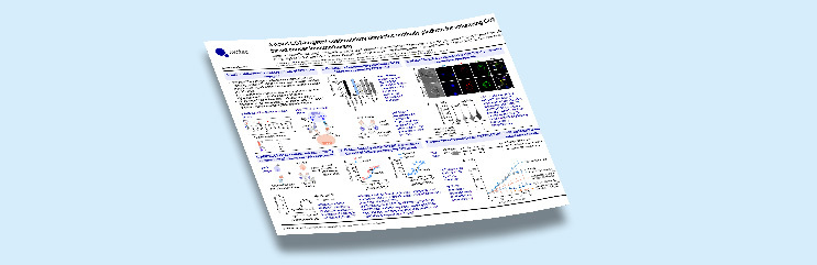 CD2-Targeted Bispecific Antibody Platform for Enhanced T Cell