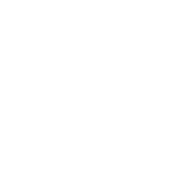 Doodle Fact sheets