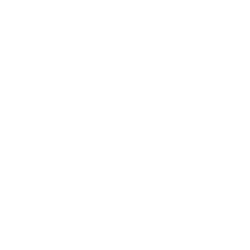 Paper plane white