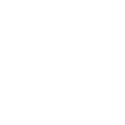 Articles White