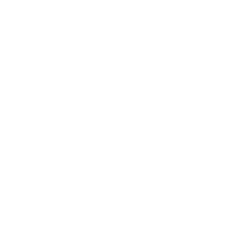 Webinar white