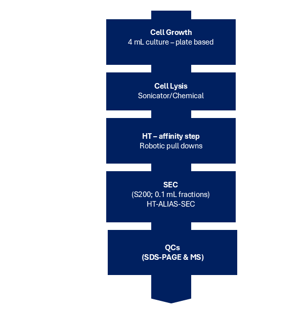 High throughput production workflow Figure