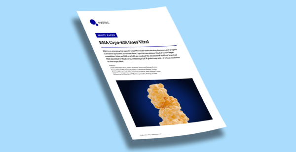 Inhouse image portraying the first page of a whitepaper which focuses on Cryo-EM visualization of an RNA scaffold structure supporting structure-based RNA drug discovery on a blue background