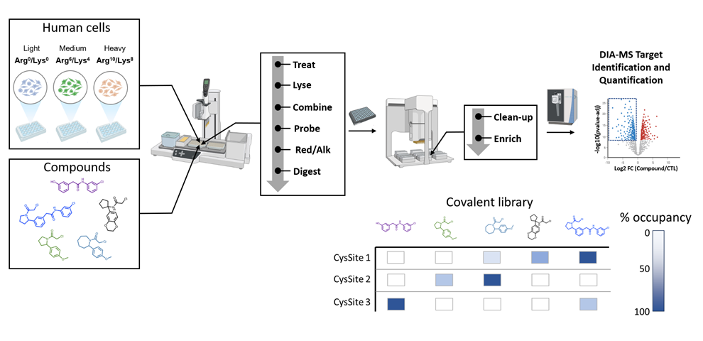 ABPP workflow