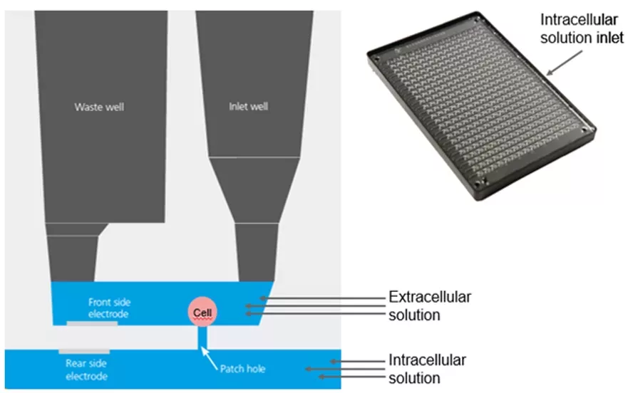 Automated Patched Clamp Fig 1