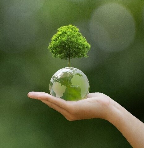 ADME Tox Screening case study earth