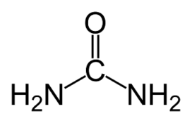 The chemical structure of a urea molecule, showing a central carbon atom double-bonded to an oxygen atom and single-bonded to two amino groups.