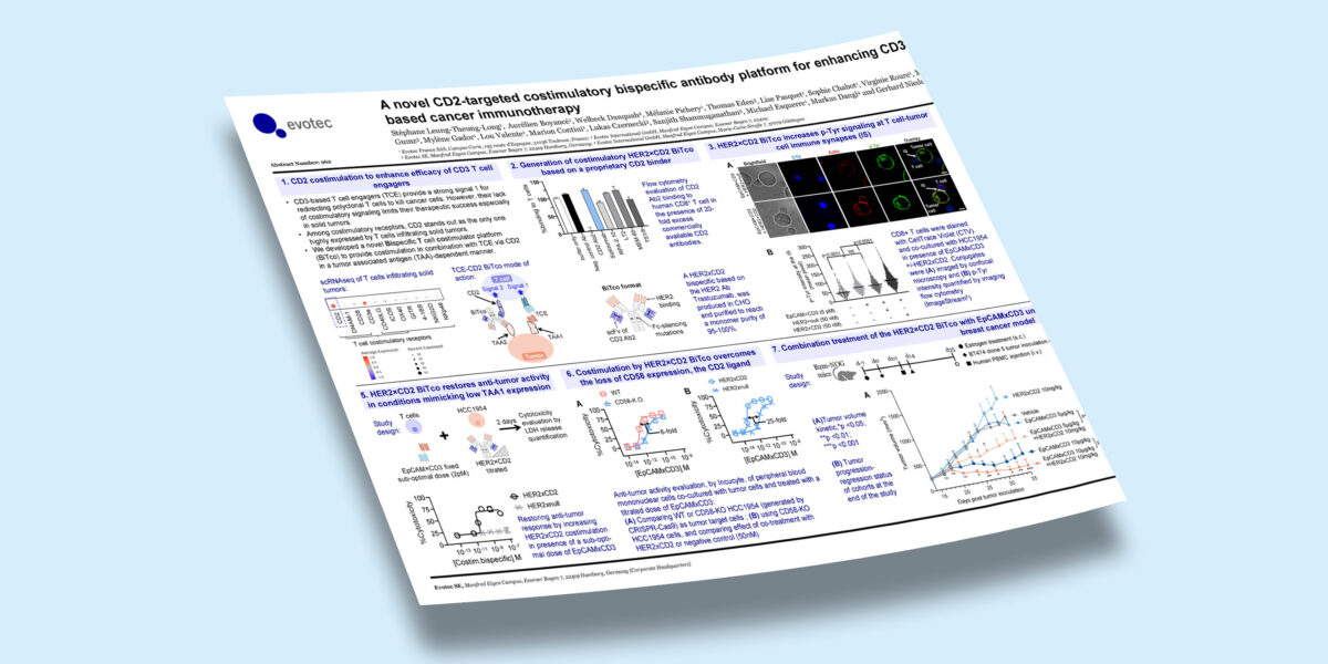 CD2-Targeted Bispecific Antibody Platform for Enhanced T Cell