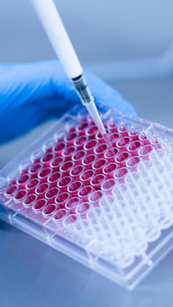 NA Ms Cyprotex Cell Culture