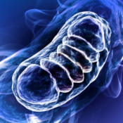 Mitochondia Cyprotex