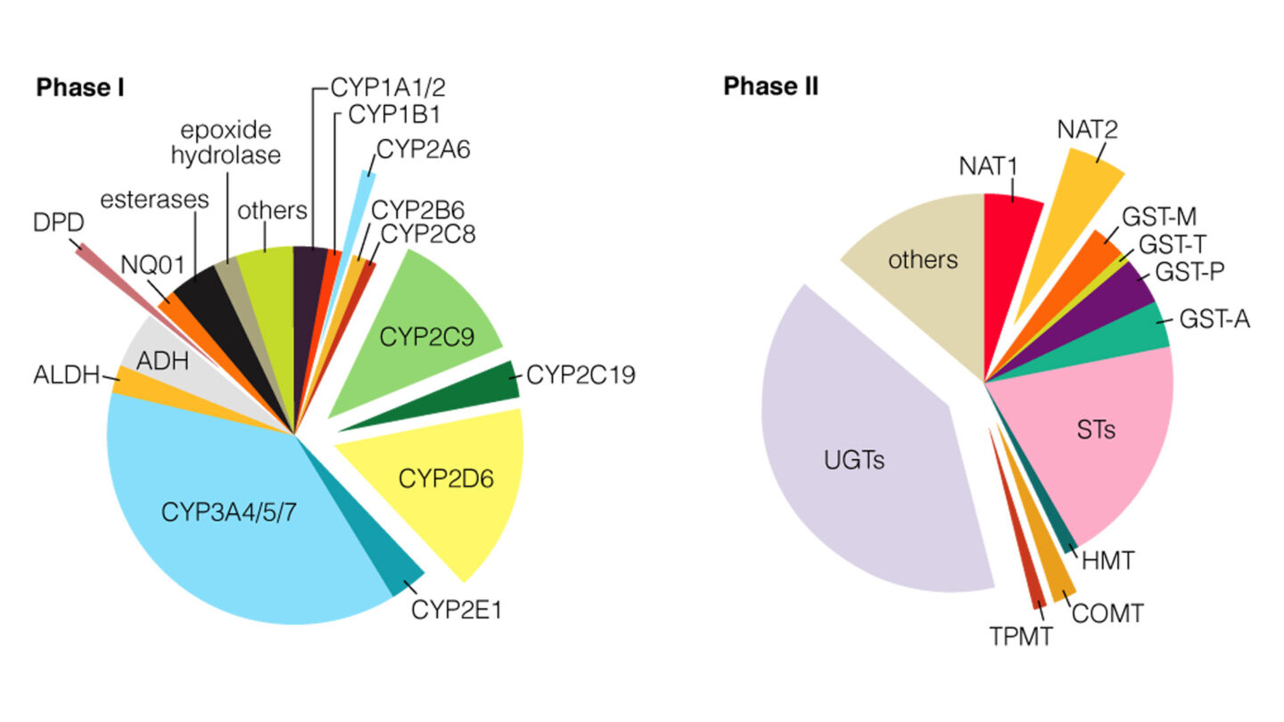 Non CYP fig 1