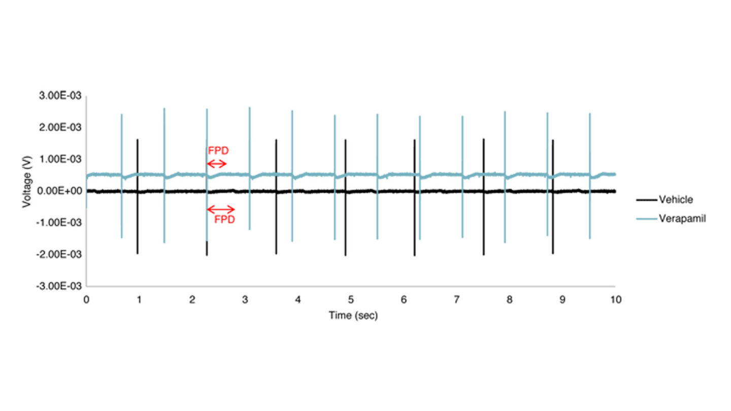 Eciphr cardio fig 1