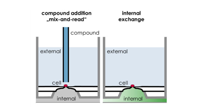 hERG Safety | Cyprotex ADME-Tox Solutions - Evotec