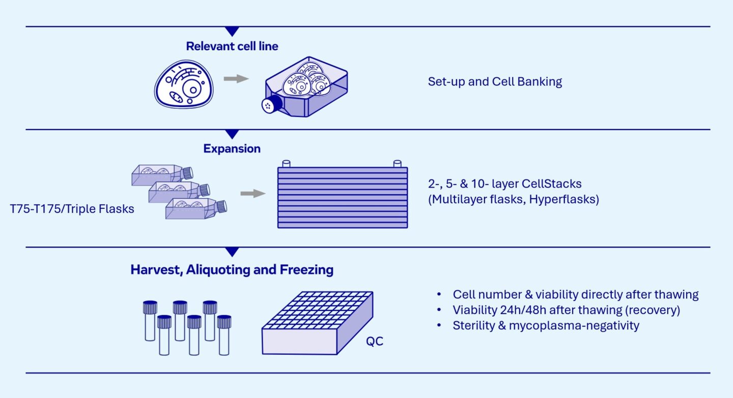 ARF cells workflow