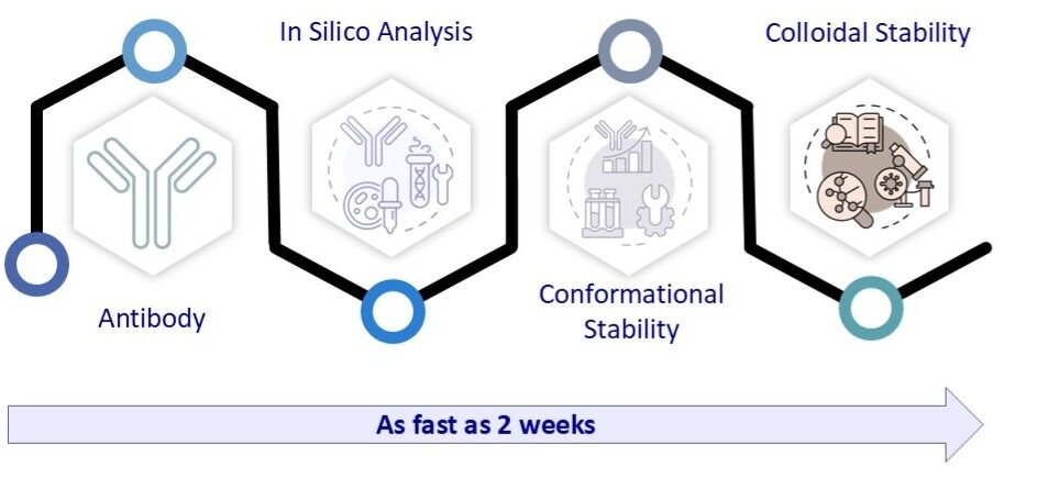 Antibody developability workflow showing in silico analysis, conformational stability, and colloidal stability completed in as fast as 2 weeks.