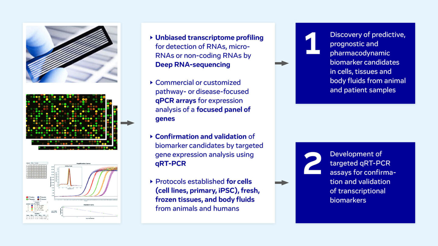 BIOMARKERS Transcriptomics