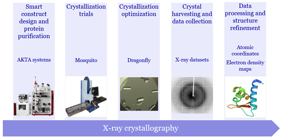 X ray crystallography services workflow