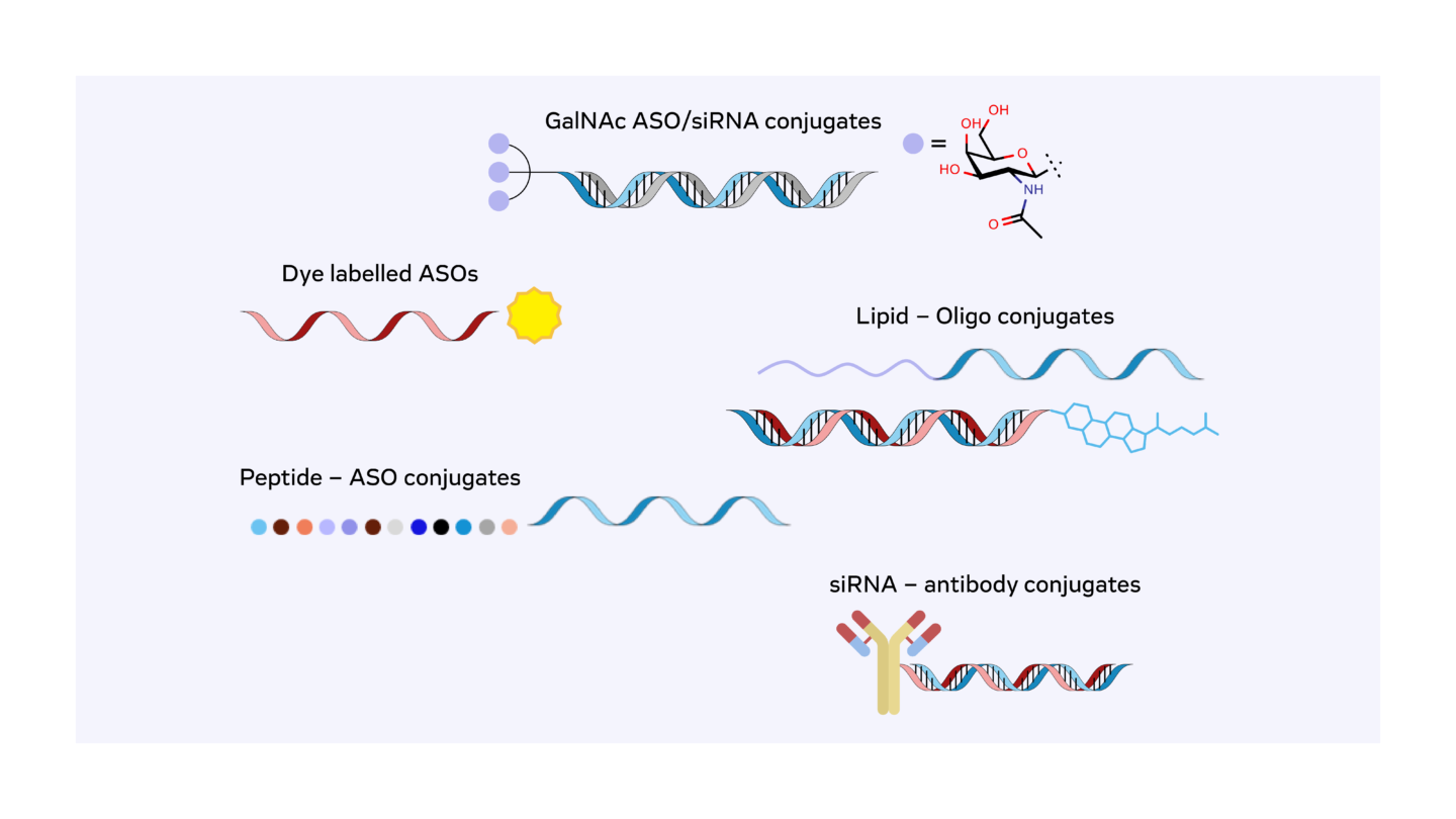 Oligonucleotide Conjugates