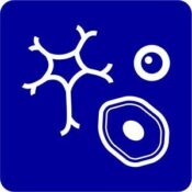 Icon SC Browser