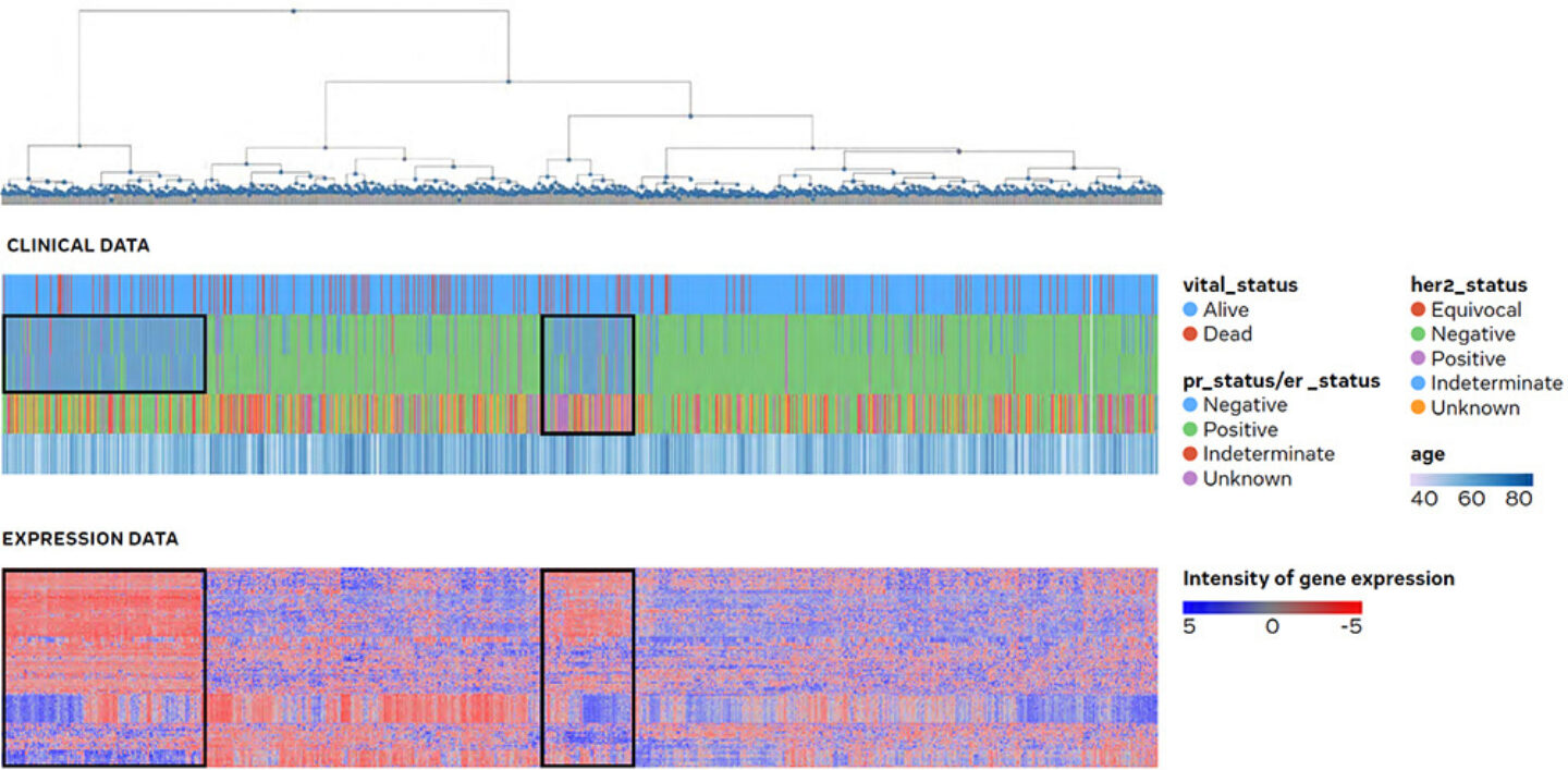 Global view and correlation of clinical vs transcriptomic data