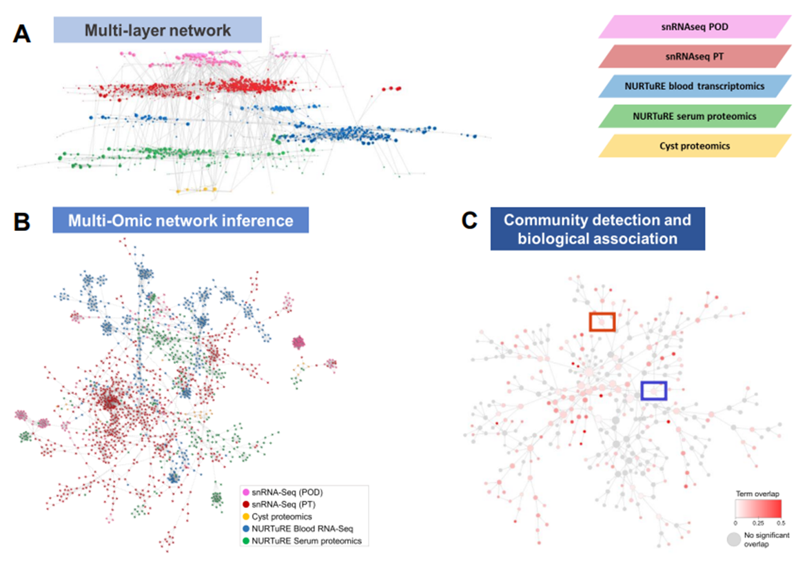 Renal Multi Omic Integration Workflow