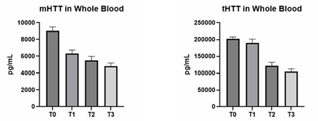 Two side-by-side bar charts displaying longitudinal biomarker analysis in whole blood. Left chart shows mHTT (mutant huntingtin) levels decreasing from approximately 9,000 pg/mL at baseline (T0) to 4,500 pg/mL at visit T3. Right chart shows tHTT (total huntingtin) levels decreasing from approximately 200,000 pg/mL at T0 to 100,000 pg/mL at T3. Both charts include error bars and demonstrate progressive reduction across four clinical trial timepoints (T0, T1, T2, T3).