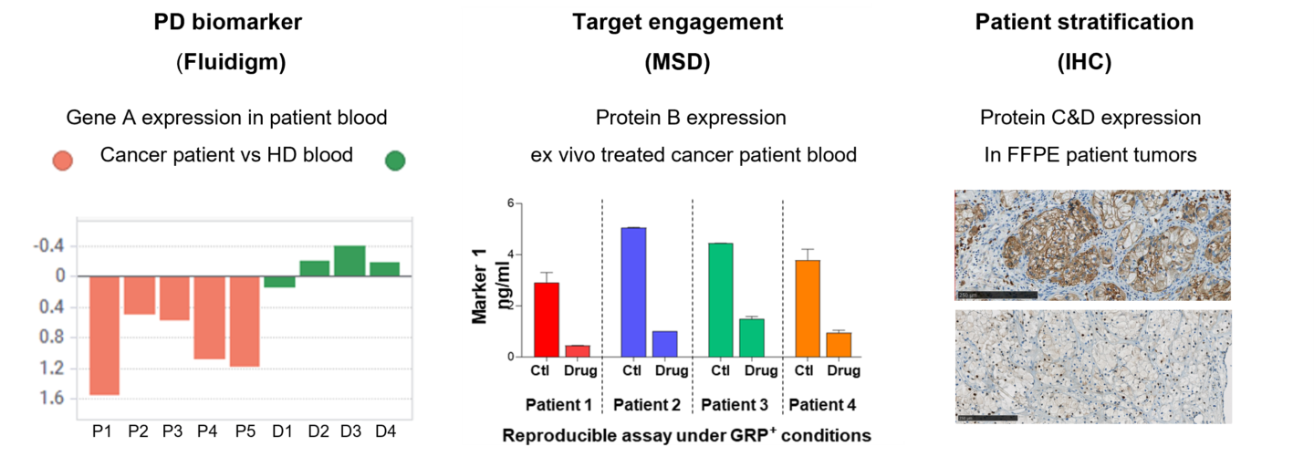 Biomarker validation across three platforms: Fluidigm qPCR showing Gene A expression differences between cancer patients and healthy donors; MSD assay demonstrating Protein B target engagement in ex vivo treated patient blood samples; and IHC images showing Protein C&D expression in FFPE tumor tissues for patient stratification