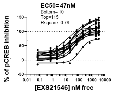Dose-response curve graph showing percent pCREB inhibition (y-axis, -50% to 150%) versus EVOEXS21546 concentration in nM (x-axis, 0.01 to 10000, logarithmic scale). Multiple sigmoid curves plotted in black, each representing individual donor or patient responses. Curves show characteristic S-shaped pattern with minimal inhibition at low concentrations (<1 nM), steep increase in inhibition range (1-100 nM), and plateau at high concentrations (>1000 nM). Most curves reach maximum inhibition between 90-150%. Two horizontal dashed lines mark 0% and 100% inhibition. Text annotation shows curve fit parameters: EC50 = 47nM, Bottom = 10, Top = 115, R-square = 0.78. Data points represented as filled black circles connected by fitted curves.