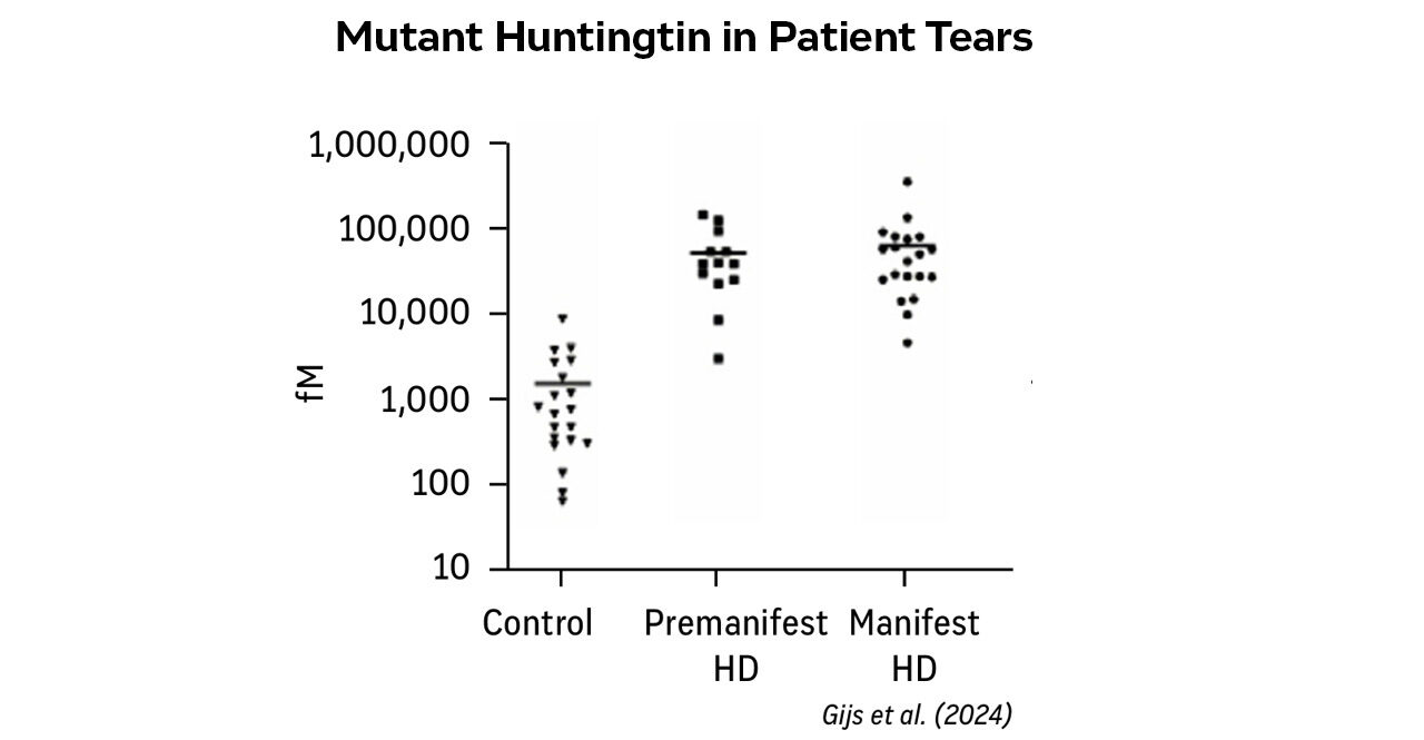 Scatter plot showing mutant huntingtin (mHTT) protein levels in patient tears measured in femtomolar (fM) concentration on a logarithmic y-axis ranging from 10 to 1,000,000 fM. Three groups are displayed: Control (left, n≈12, concentration range ~100-10,000 fM), Premanifest HD (middle, n≈20, concentration range ~1,000-100,000 fM with median around 50,000 fM), and Manifest HD (right, n≈20, concentration range ~10,000-100,000 fM with median around 50,000 fM). Both Huntington's disease groups show significantly elevated mHTT levels compared to controls. Data source cited as Gijs et al. (2024).